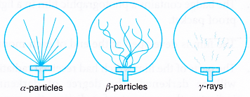 nuclear rays path